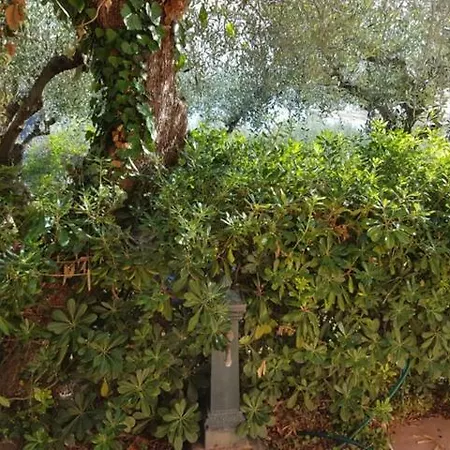 Casa Maralunga Lerici